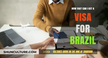 Quickest Visa Processing Times for Brazil: What You Need to Know