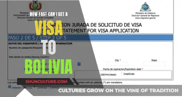 Getting a Visa to Bolivia: Quickest Options