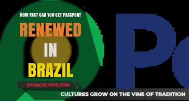 Quick Passport Renewal in Brazil: Your Fastest Options Explained