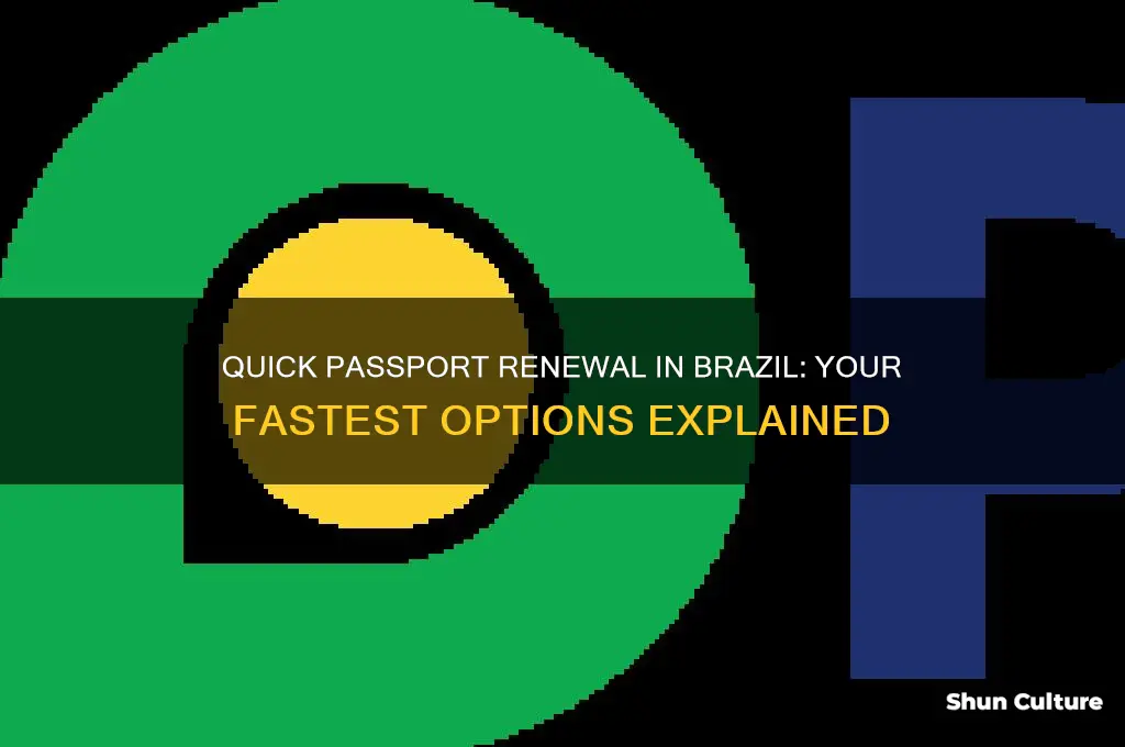how fast can you get passport renewed in brazil