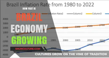 Brazil's Economic Growth: Current Pace, Trends, and Future Outlook