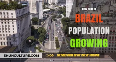 Brazil's Population Growth: Trends, Challenges, and Future Projections