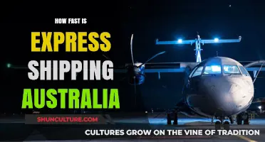 Express Shipping Australia: How Fast Does It Go?