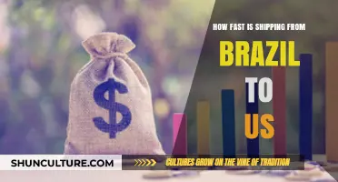 Shipping from Brazil to US: Speed, Costs, and Delivery Times Explained