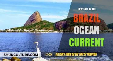 Exploring the Speed of Brazil's Ocean Current: A Comprehensive Guide