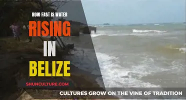 The Rising Tide: Belize's Submerging Shorelines