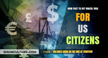 Quick Brazil Visa Guide: Processing Times for US Citizens