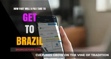 How Fast Can Your File Reach Brazil? Factors and Estimates