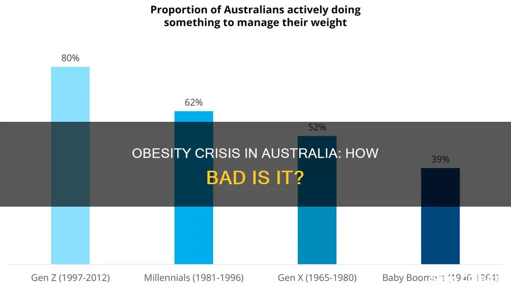 how fat are people in australia