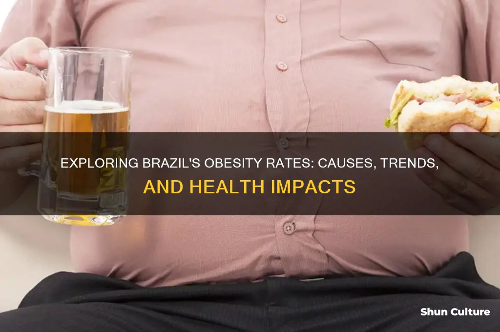 how fat is brazil