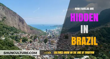 Unseen Communities: How Brazil's Favelas Remain Hidden in Plain Sight