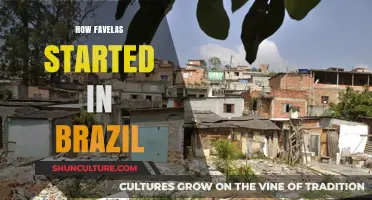 Origins of Brazil's Favelas: A Historical Journey of Urbanization
