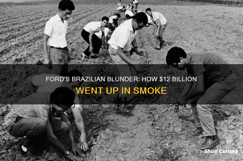 how ford burned $12 billion in brazil