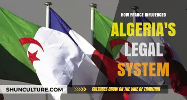 France's Legal Legacy: Shaping Algeria's Judicial Framework and Laws