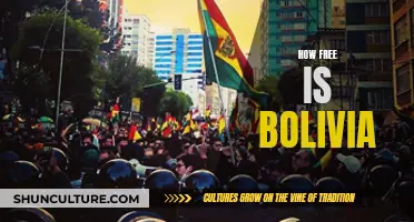 Bolivia's Freedom: Exploring the Country's Complex Political Landscape