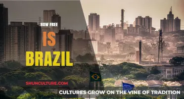 Exploring Brazil's Freedoms: Democracy, Expression, and Societal Constraints