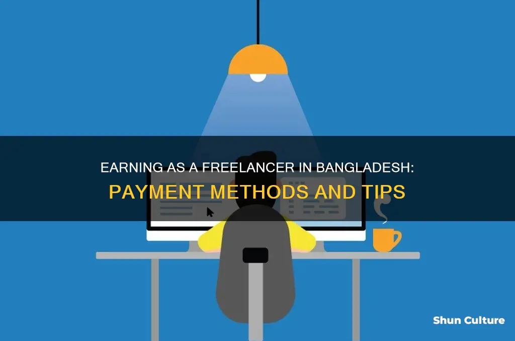how freelancers get paid in bangladesh