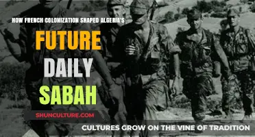 French Colonization's Lasting Impact on Algeria's Daily Life and Identity