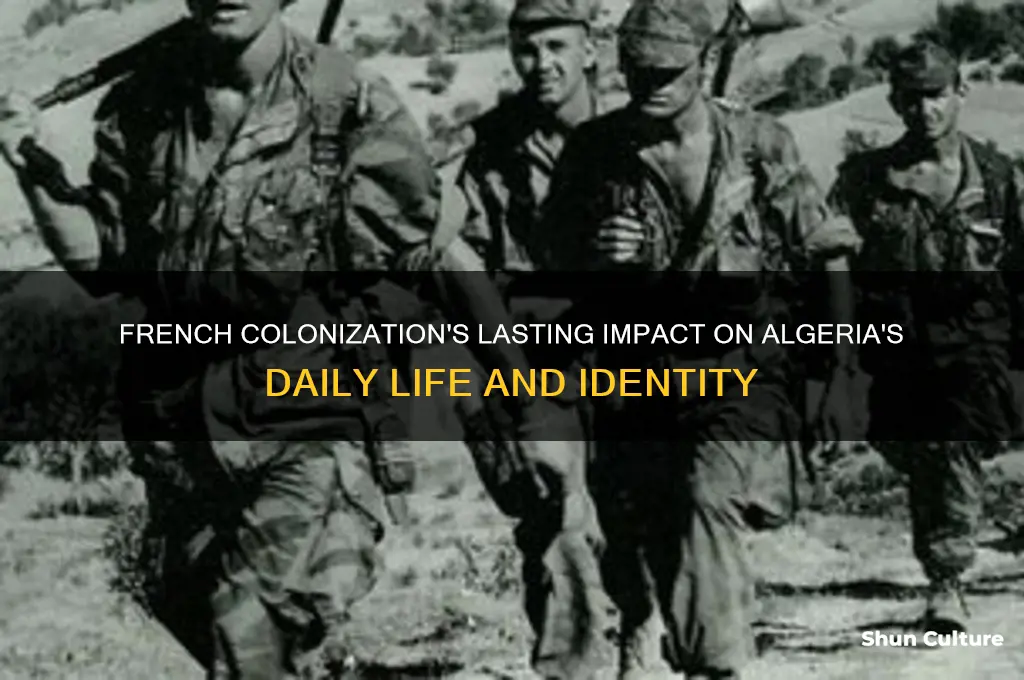 how french colonization shaped algeria