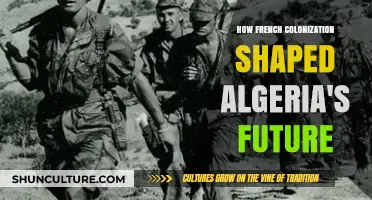 French Colonization's Impact: Shaping Algeria's Future and Identity