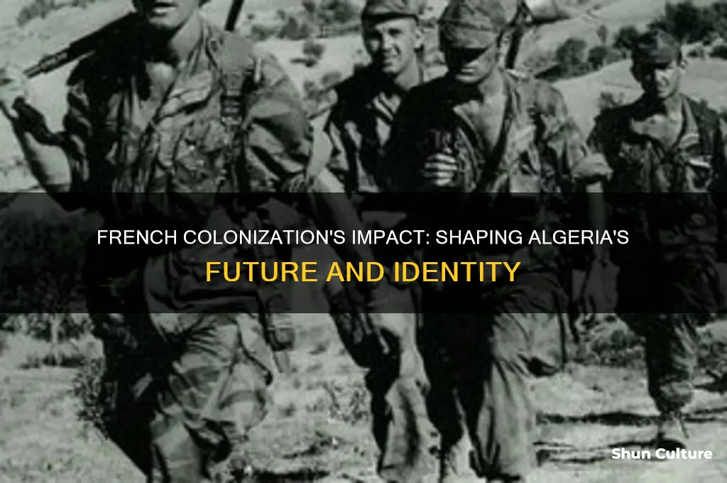 how french colonization shaped algeria