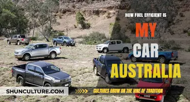 Australia's Most Fuel-Efficient Cars: How Do They Compare?