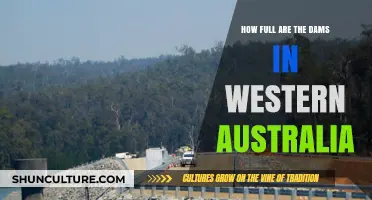 Western Australia's Dams: Current Water Levels