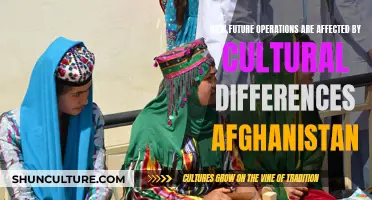 Navigating Cultural Complexities: Understanding Afghanistan's Impact on Future Military Strategies