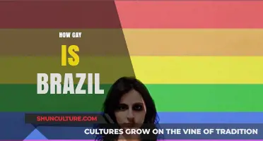 Exploring Brazil's LGBTQ+ Culture: Diversity, Pride, and Acceptance Unveiled