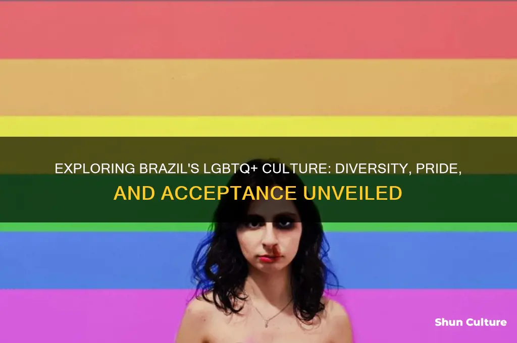 how gay is brazil