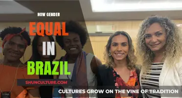 Brazil's Gender Equality Journey: Challenges, Progress, and Future Prospects