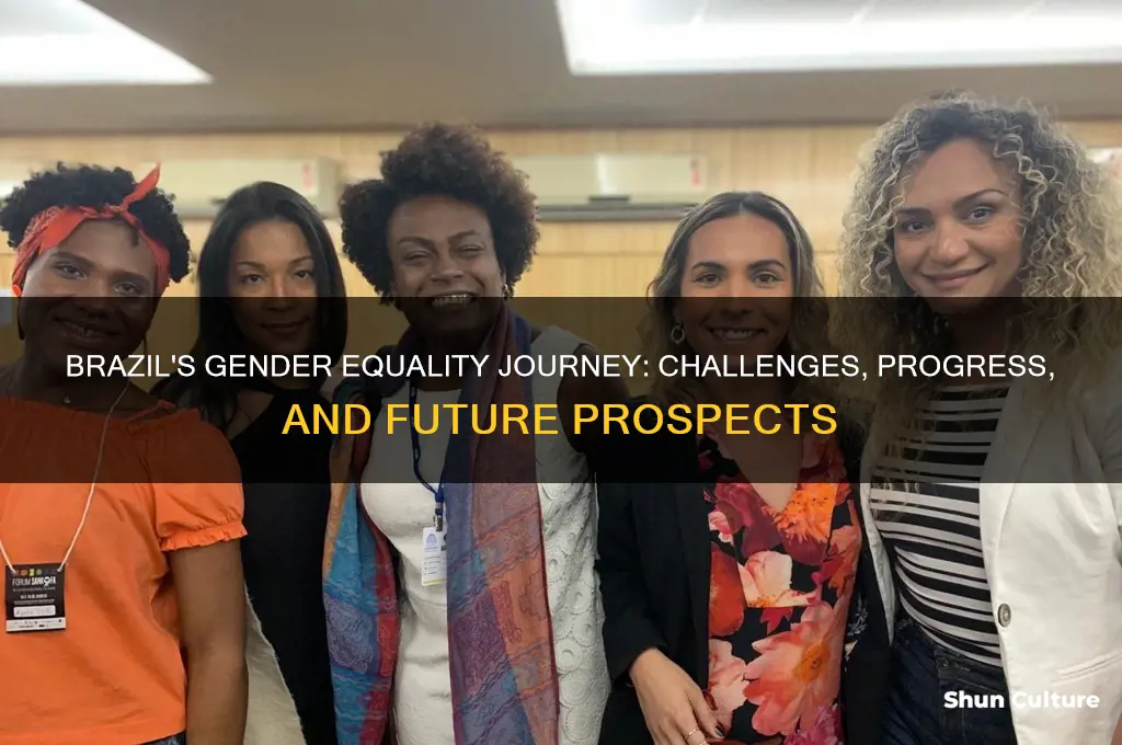how gender equal in brazil