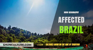 Brazil's Geography: Shaping Culture, Economy, and History