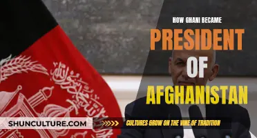 The Unlikely Rise of Ashraf Ghani: A President's Path to Power in Afghanistan