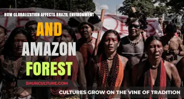 Globalization's Impact: Brazil's Environment and the Amazon Forest at Risk