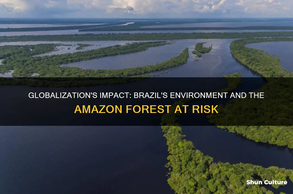 how globalization affects brazil environment and amazon forest