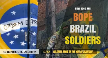 Elite BOPE Brazil Soldiers: Training, Tactics, and Real-World Effectiveness