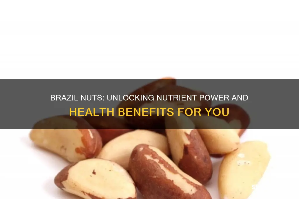 how good are brazil nuts for you