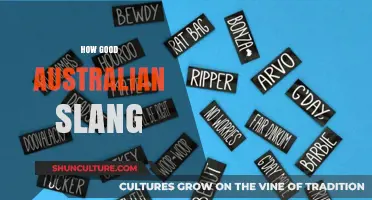 Australian Slang: A Unique and Creative Language