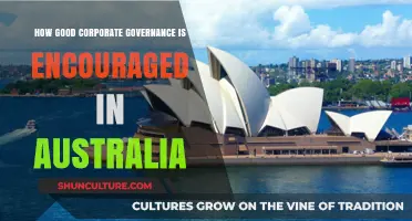 Australia's Corporate Governance: Encouraging Best Practices