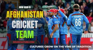 The Rise of Afghanistan's Cricket Warriors: A Story of Resilience and Talent