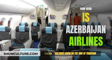 Azerbaijan Airlines: A Comfortable and Reliable Flying Experience