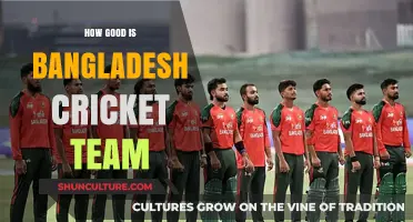 Bangladesh Cricket Team: Rising Talent, Global Impact, and Future Prospects