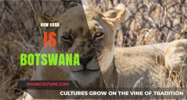 Botswana's Excellence: Unveiling Its Economy, Culture, and Natural Wonders