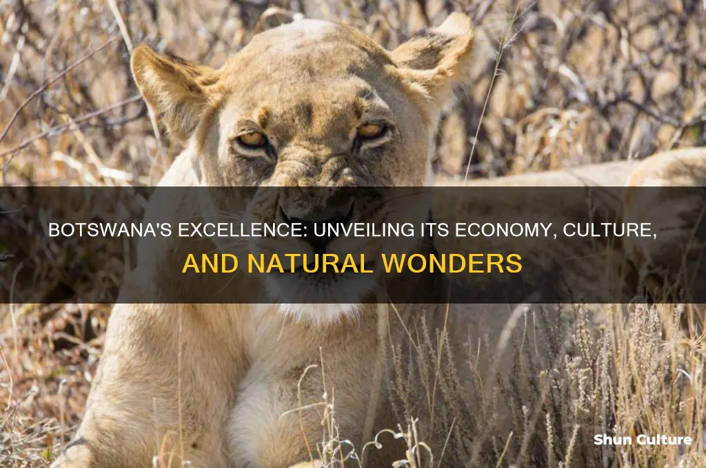 how good is botswana