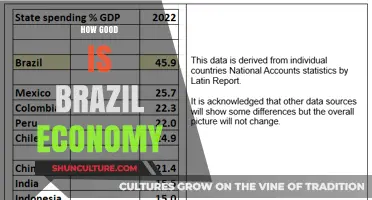 Brazil's Economic Strength: Opportunities, Challenges, and Global Impact