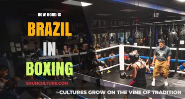 Brazil's Boxing Legacy: Strengths, Achievements, and Global Standing
