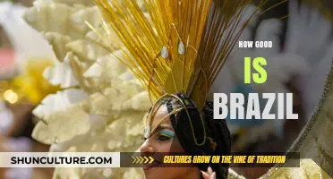 Exploring Brazil's Excellence: Culture, Economy, and Global Impact