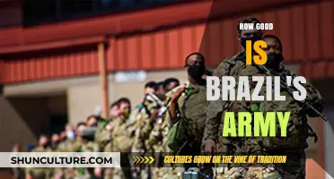 Brazil's Military Strength: Analyzing Capabilities, Readiness, and Global Standing