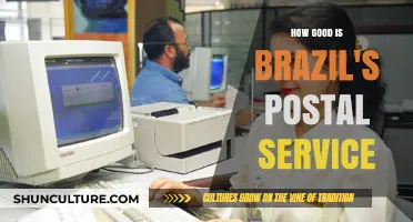 Evaluating Brazil's Postal Service: Efficiency, Reliability, and Customer Satisfaction